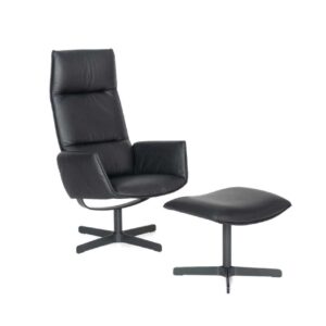 De Sede - Sessel DS-0343/01