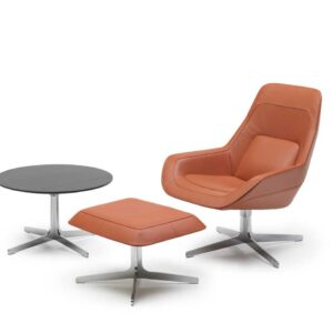 De Sede - Sessel DS-144