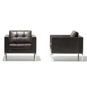 De Sede - Sessel DS-159