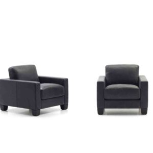 De Sede - Sessel DS-17