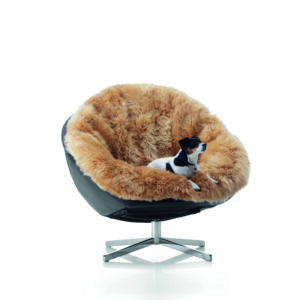 De Sede - Sessel DS-265 Coco