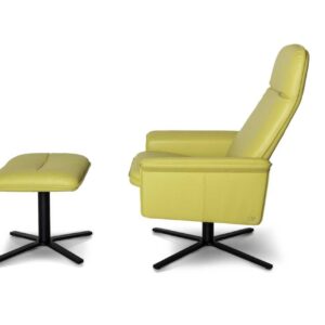 De Sede - Sessel DS-55